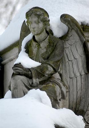 At Sutton's war memorial in Manor Park, the term 'snow angel' got a different meaning. Picture: Gareth Harmer