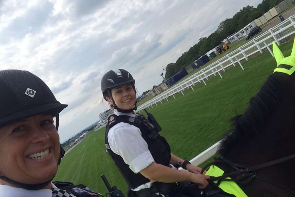 Surrey Police reveal successes of new mounted section