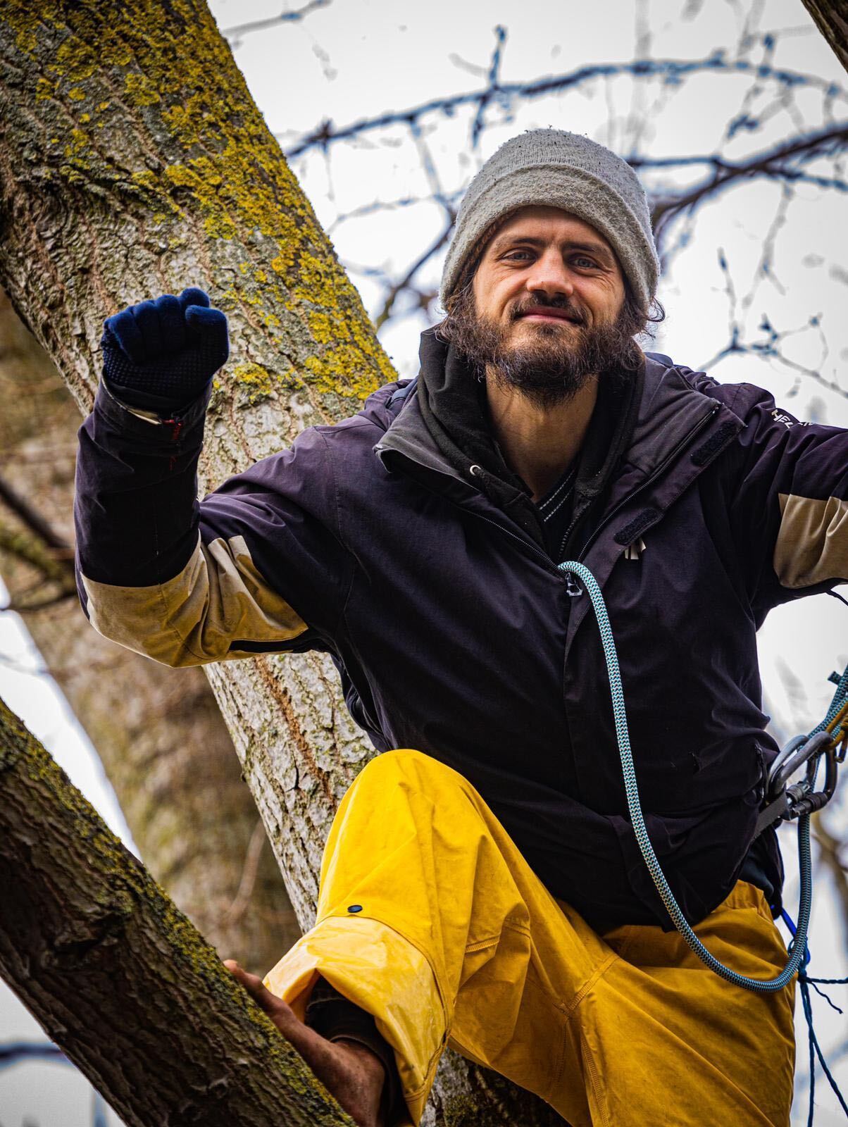 Tree protector Marcus Carambola, 32, in the tree in York Gardens, Battersea. Credit: Anthony Jarman.