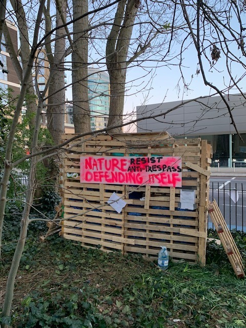 Protesters are occupying York Gardens in Battersea again to stop trees being felled. 