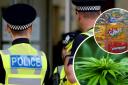 Surrey Police issue update after children hospitalised over edibles
