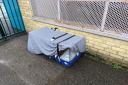 The animals were found in a cage covered with a blanket in a south west London park