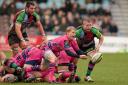 Back in the hood: Cardiff Blues, pictured in pink, return to west London on Saturday