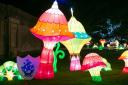 A Lantern Festival will mark Chinese New Year in Chiswick
