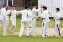 Gotcha: Ashtead celebrate the dismissal of Weybridge's Dom Sibley during their Premier Division win last weekend