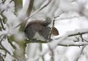 Snow could hit London tonight and tomorrow
