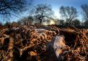 Frost will disappear as the day progresses