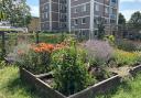 Hackney residents can now claim land for growing