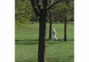 Something bunny going on in Clapham Common