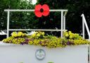 A poppy has been placed at Epsom Downs Racecourse next to a plaque commemorating Lord Kitchener's inspection of troops on the Downs in 1915