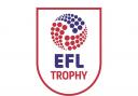 Out to punish: The EFL Trophy draw has not been helpful to AFC Wimbledon