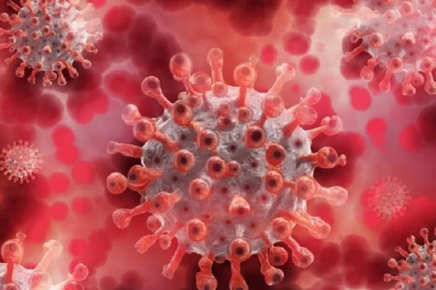 World Health Organisation monitoring new coronavirus variant