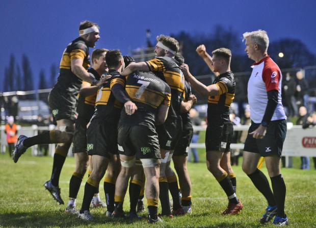 Your Local Guardian: Sloan celebrates a try  Photo Leo Wilkinson
