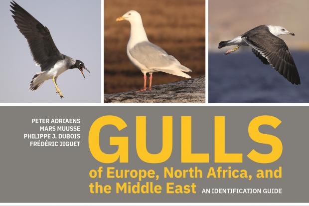 Gulls of Europe, North Africa and the Middle East by Peter Adriaens, Mars Muusse, Philippe Dubois and Frederic Jiguet is published by Princeton University Press price £30.