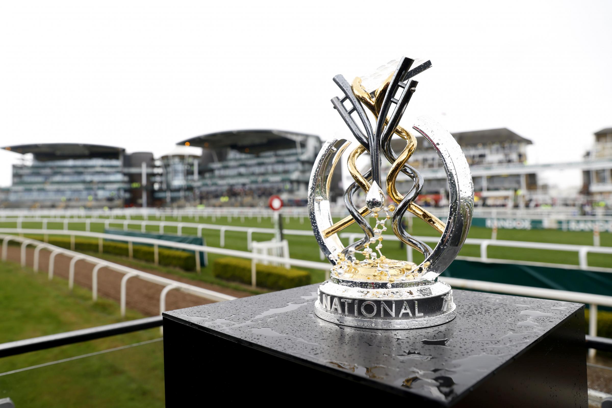 Grand National 2022 – the Pinstickers' Guide | Your Local Guardian - Vimarsana News