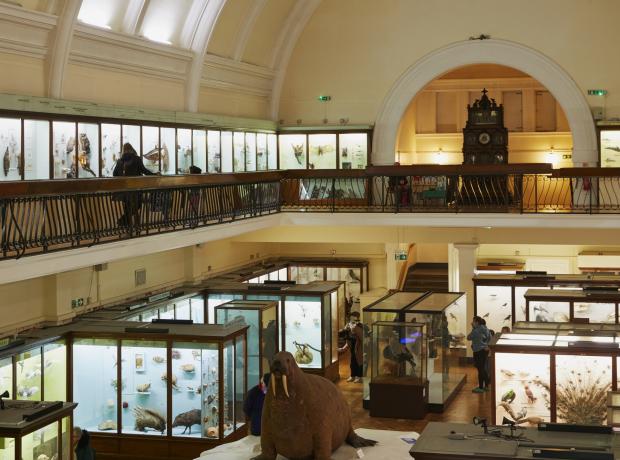 Your Local Guardian: Horniman Museum and Gardens (PA)