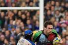 Growing up: Harlequins number eight Tom Guest in action in the 6-6 draw with Bath in October.