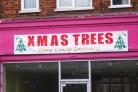 There are trees a plenty at 1 High Street, Whitton
