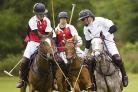 Stick with it: Action from Ham Polo Club Mark Greenwood