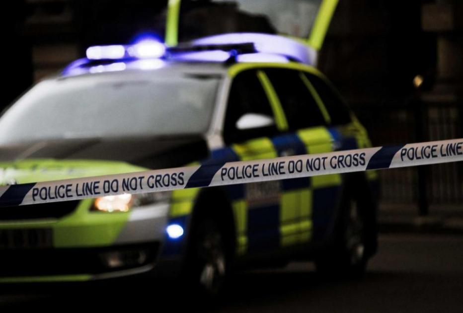 Fernwood Avenue Streatham altercation: Man dies - Sutton & Croydon Guardian