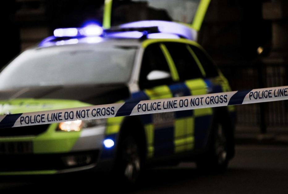 Glenister Park Road Streatham fire: Woman arrested after man dies - Sutton & Croydon Guardian