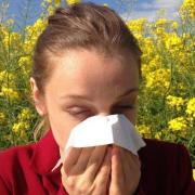 Kleenex offers tips to hayfever sufferers