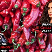 Cameron 'The Cannon' versus reining champion Shahina 'UK Chilli Queen', AKA The Scream in Cheam