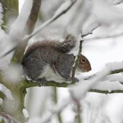 Snow could hit London tonight and tomorrow