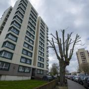 Regina Road flats in Croydon