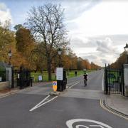 Police were called at 10.58am yesterday (May 1) after reports of two dogs attacking another in the park