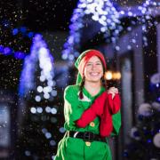 Elf At The Door will be returning to Croydon and Sutton this year