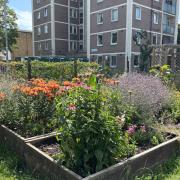 Hackney residents can now claim land for growing