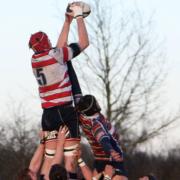 Tough times: Richard Boyle claims the line-out for Park in a hard-fought win at Old Albanian                Picture: David Whittam