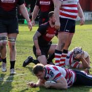 Over: Adam Bellamy scores Rosslyn Park’s third try in the weekend win over Hartpury College            All pictures: David Whittam