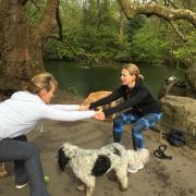 Barking Fit – Mum taps into US fitness craze to run human and animal exercise classes in Battersea Park