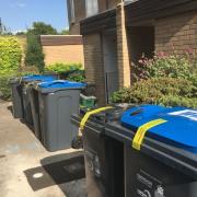 New bins have been rolled out in Croydon