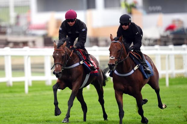 William Cox aboard Dancing Gemini (left) on the gallops at Epsom Downs Racecourse, Surrey, ahead of the Betfred Derby Festival starting May 31st