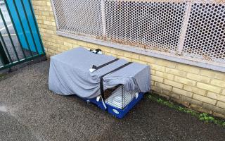 The animals were found in a cage covered with a blanket in a south west London park