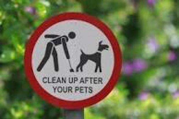 Tarmac isn't the answer for dog poo