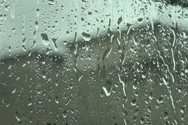 Wet and windy: Outbreaks of drizzle expected throughout the day